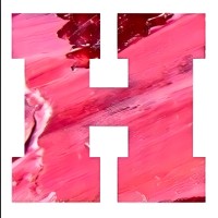 Hmdc Digital logo - Similar company to Staragile Technologies Private Limited
