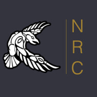 Northern Raven Consultancy Ltd logo - Similar company to Technical Solutions Group