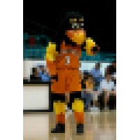 Albuquerque Thunderbirds