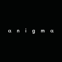 Anigma Design Collective logo - Similar company to Accretive