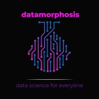 Datamorphosis logo - Similar company to Last Call
