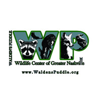 Walden's Puddle Wildlife Center of Greater Nashville logo - Similar company to Waldens Puddle Inc
