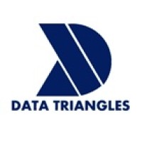 Data Triangles logo - Similar company to Dito Technologies Llc