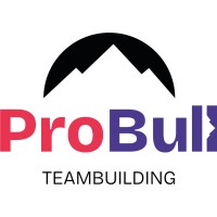ProBull Teambuilding logo - Similar company to Studio Nmds
