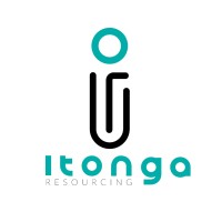 Itonga Resourcing logo - Similar company to Resourcing Software