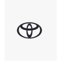 TOYOTA PLAZA AYKON OTOMOTİV logo - Similar company to Akel İsg