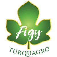 FIGY Dried Figs logo - Similar company to Dried Figs