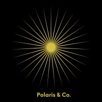 Polaris & Co. logo - Similar company to Konimec