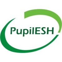 PUPILESH PEERNET PVT LTD logo - Similar company to High4Teens