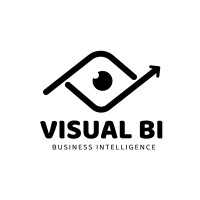 Visual BI logo - Similar company to Binary Blue