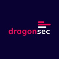 DragonSec logo - Similar company to Kiberpipa