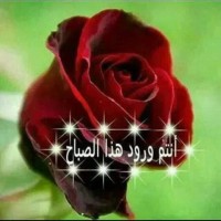 شيماء logo - Similar company to Esse Na Tembet