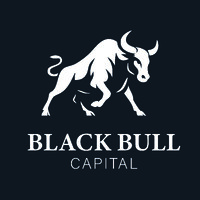 Black Bull Capital logo - Similar company to Three Krown Advisory