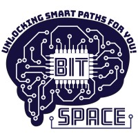 BIT Space logo - Similar company to Bulk Shipping Agencies (Pvt) Ltd