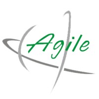 Agile Ventures Pvt Ltd logo - Similar company to Dancing Numbers