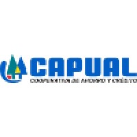 Capual - Cooperativa de Ahorro y Crédito Unión Aérea Ltda. logo - Similar company to Techplanet