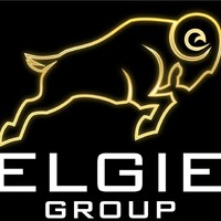 Elgie Group logo - Similar company to Monkey Vs Owl