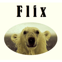 Flix Ltd. logo - Similar company to Uvm Chemistry