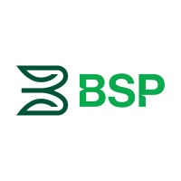 BSP Financial Group Limited logo - Similar company to Ibsuniversity
