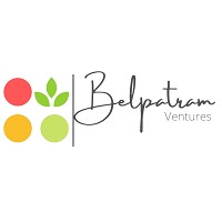 Belpatram Ventures logo - Similar company to Dashflow Technolity