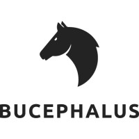 Bucephalus BI App logo - Similar company to Vetee.Ai