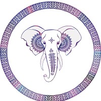 White Elefan Co. logo - Similar company to Auora Kombucha