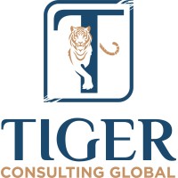 Tiger Consulting Global (TCG) logo - Similar company to Levelup Today Inc