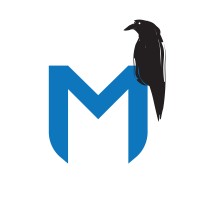 Marketing Raven logo - Similar company to Scaleup Marketing Solutions