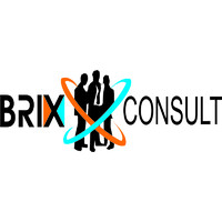 Brix Consult logo - Similar company to Brix Group