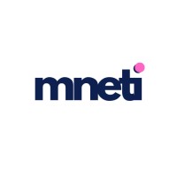 mneti logo - Similar company to Transfer Pricing Partners Limited