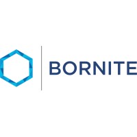 Bornite Capital logo - Similar company to Diker Management Llc