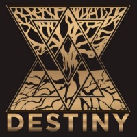 Destiny Spedition s.r.o. logo - Similar company to Everysoft