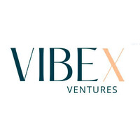 VibeX Ventures logo - Similar company to Actecil, Expertos En Cumplimiento Rgpd