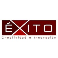 ONG Éxito Creatividad e Innovación logo - Similar company to Ong Proyecta