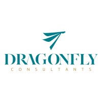 Dragonfly Consultants logo - Similar company to #Lovework