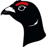 Ptarmigan logo - Similar company to Heathside Capital