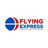 Flying Express Migration Services logo - Similar company to Ems - Express Migration Services
