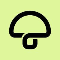 Mushroom Connect logo - Similar company to Bhaizada & Son