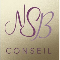 NSB-Conseil logo - Similar company to Martin_Robert_