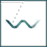 WTS logo - Similar company to Decodificar
