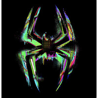 Spiderv2x logo - Similar company to Rawcaster