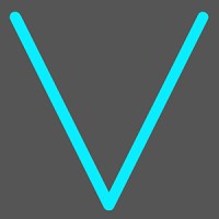 Vector Security Group logo - Similar company to Protectum Ab