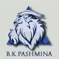 Binda Kesari Pashmina Udhyog logo - Similar company to Women'S Business Leadership Center