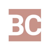 Broadstock Consulting logo - Similar company to Priomatics Inc