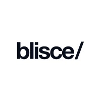 blisce/ logo - Similar company to Epic Foundation