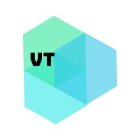 Valeria Timofeeva Consulting logo - Similar company to Luxe Cosmetics