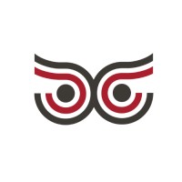 Consilium Consulting logo - Similar company to Skywolf Inc