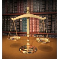 Martin & Van Hoy, Llp