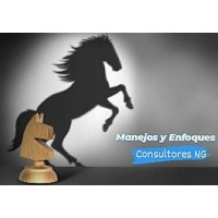 Manejos y Enfoques, Consultores NG logo - Similar company to Dífferos