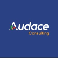 Audaceconsulting logo - Similar company to Stam Itad